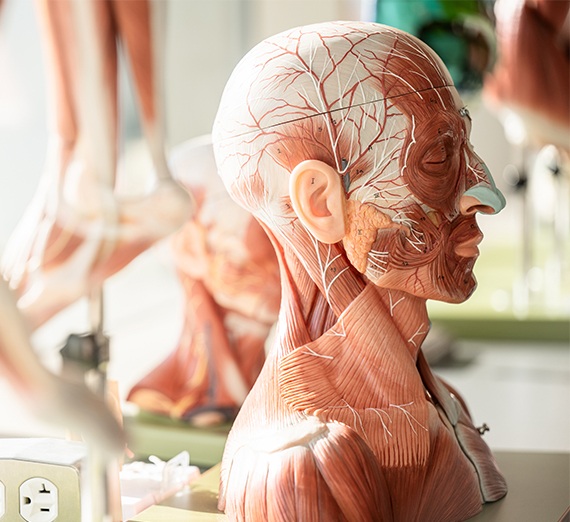 UW School of Medicine - Gonzaga Regional Health Partnership student Mara Hazeltine